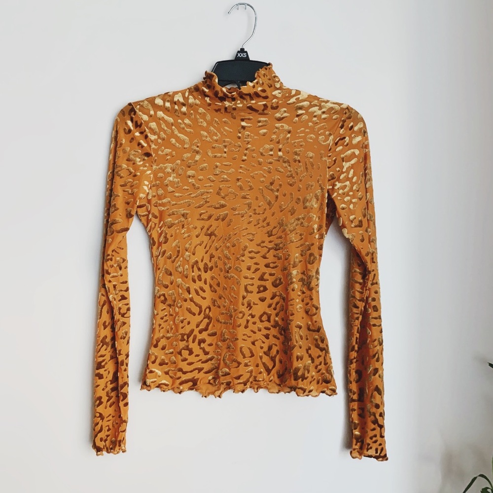 Burnout Velvet Leopard Print Long Sleeve Top
